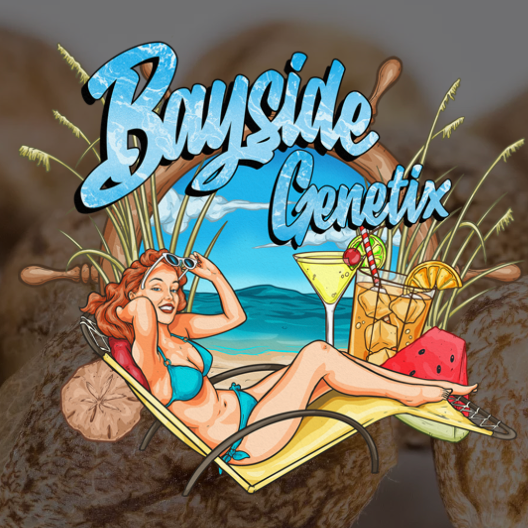 Wednesday Night Sides 2.25, DJ Dudd, Castmaster brought to you by Bayside Genetics episode artwork
